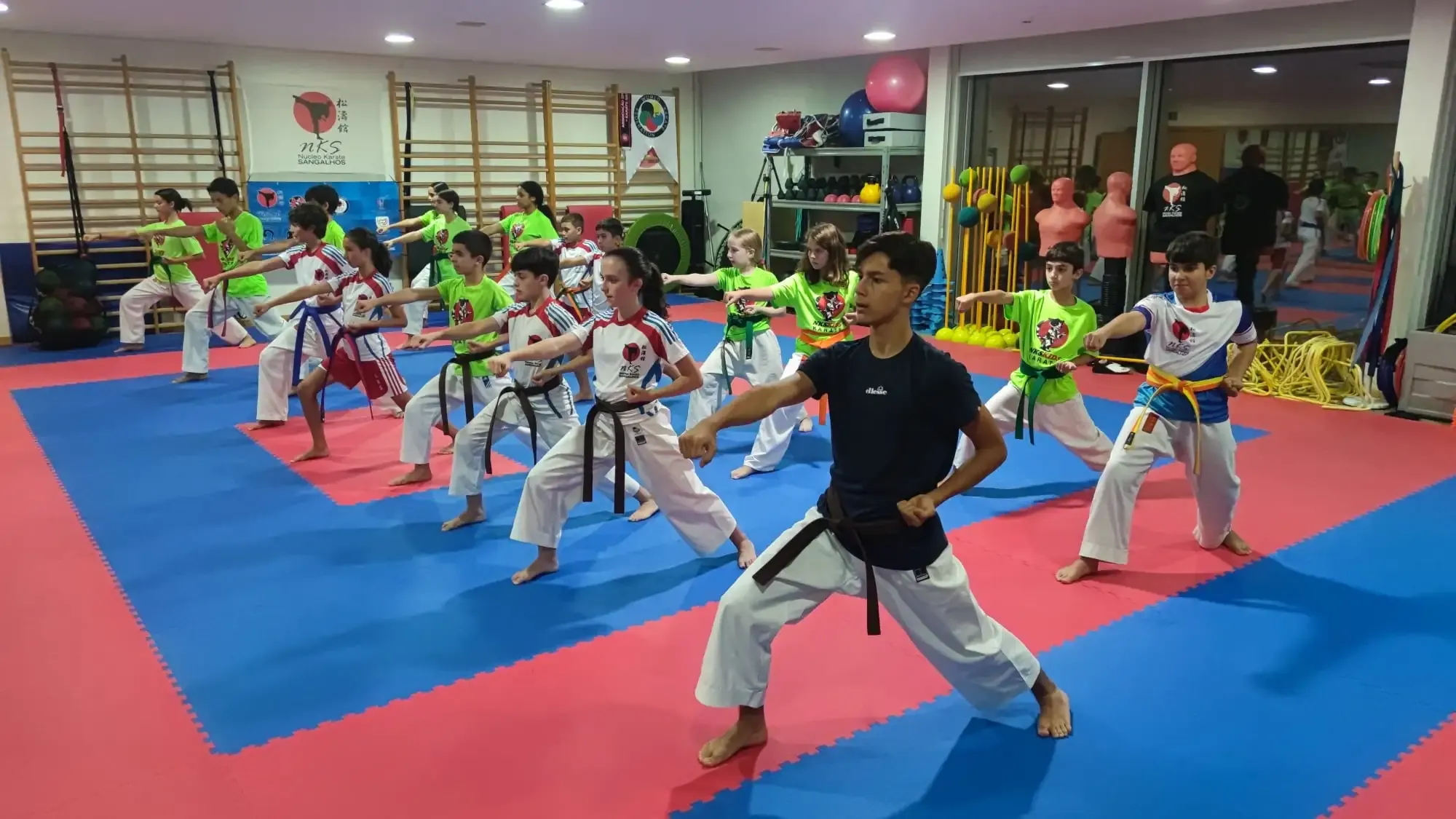 Atletas de várias idades a treinar kihon em linha no dojo